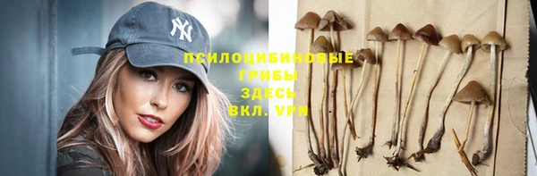 гашик Абинск