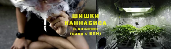 дживик Абаза