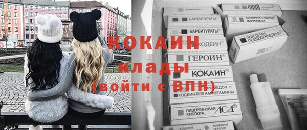 дживик Абаза
