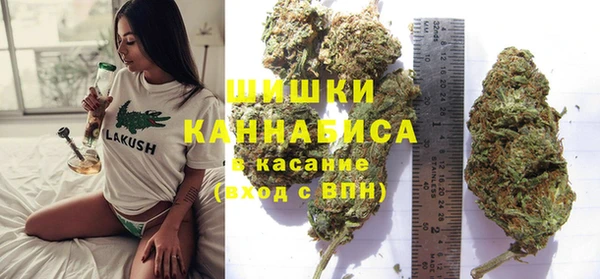 дживик Абаза
