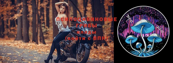 шишки Покров
