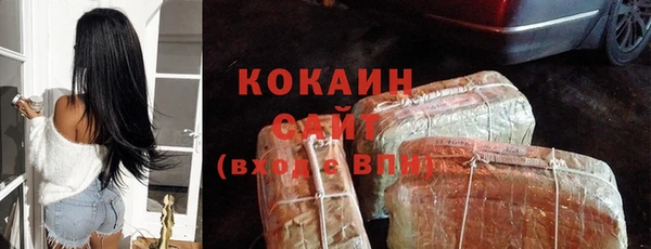 спиды Алзамай
