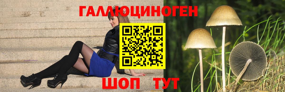 Галлюциногенные грибы Magic Shrooms  Псилоцибиновые грибы Psilocybe  Вход с VPN  Сертолово 